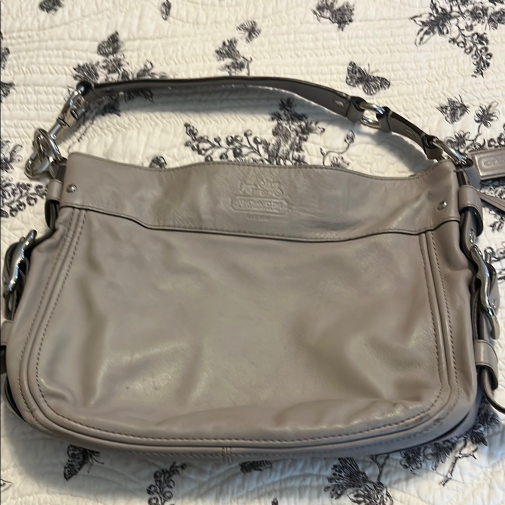 Coach Leather Shoulder Bag in Taupe